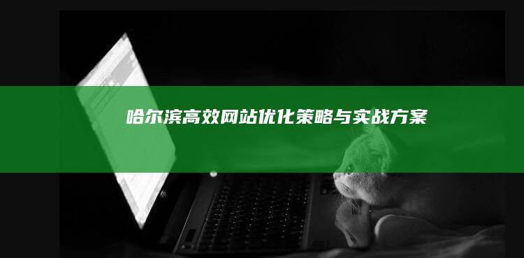 哈尔滨高效网站优化策略与实战方案